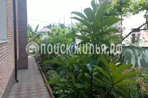 Гостевой дом «Бугенвиллия», Гагра