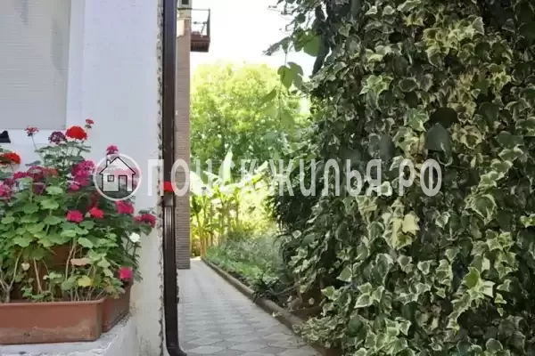 Гостевой дом «Бугенвиллия», Гагра