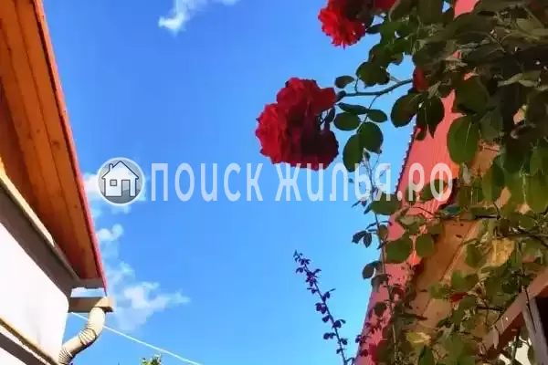 «Алита», Кучугуры