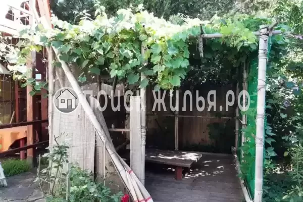 «Алита», Кучугуры