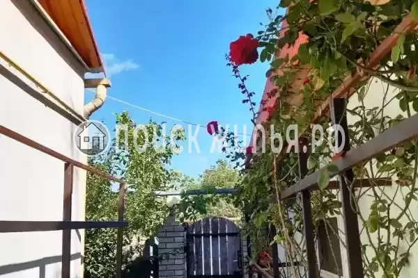 «Алита», Кучугуры