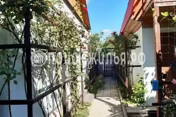 «Алита», Кучугуры