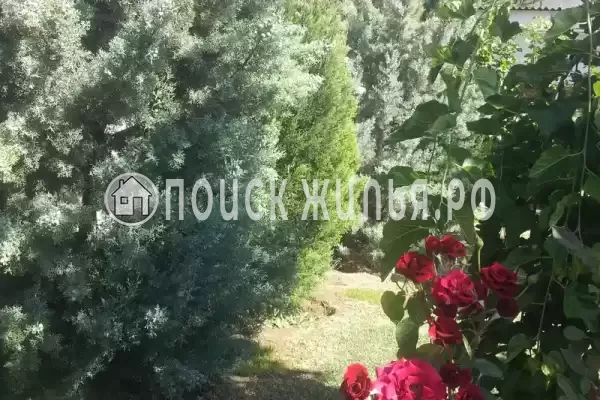 «Aннушка», Евпатория «Aннушка», Евпатория