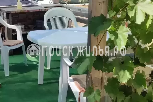 «Дакадан», Кучугуры