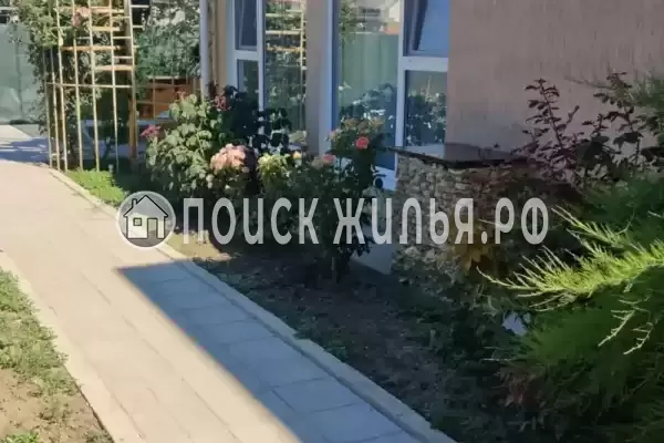 «Дакадан», Кучугуры