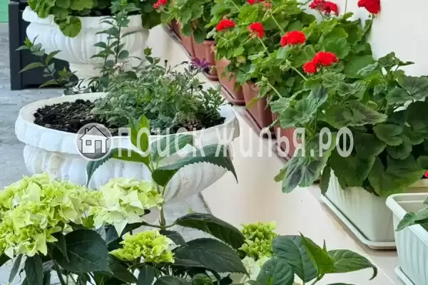 Гостевой дом «Сакура», Вардане