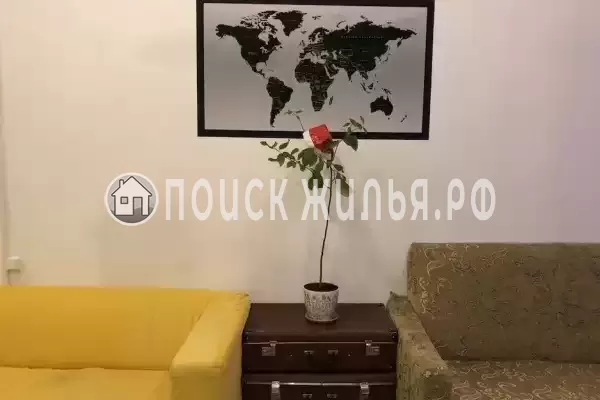 «Central House», Санкт-Петербург