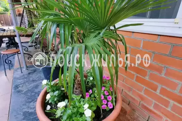 «Кусочек моря», Анапа