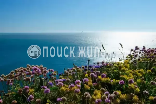 «Арника», Анапа «Арника», Анапа