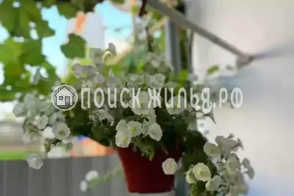 «Южная 8», Витязево