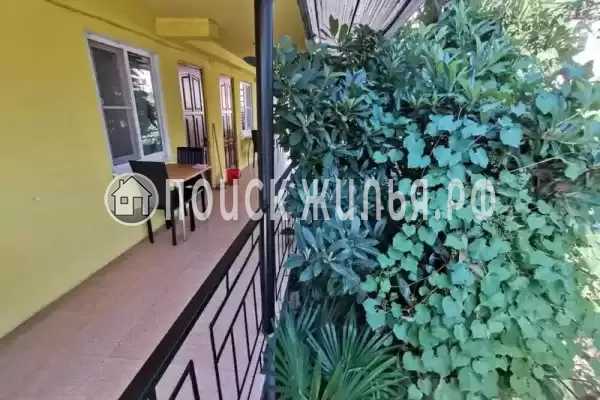 «Фламинго», Адлер «Фламинго», Адлер