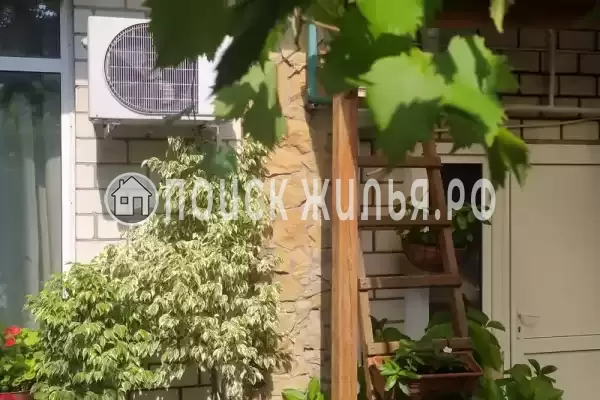 «Elpida», Анапа «Elpida», Анапа