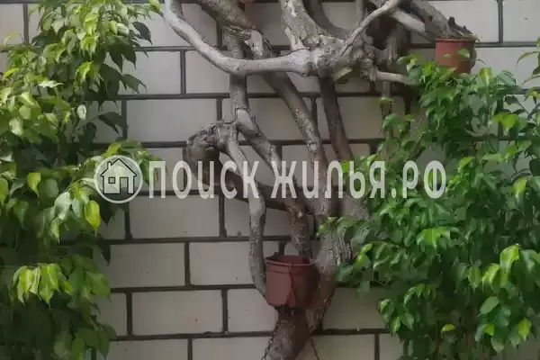 «Elpida», Анапа «Elpida», Анапа