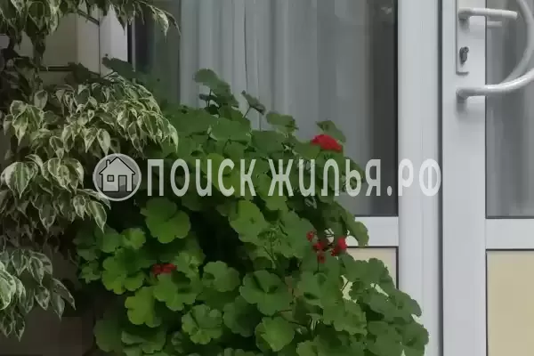 «Elpida», Анапа «Elpida», Анапа