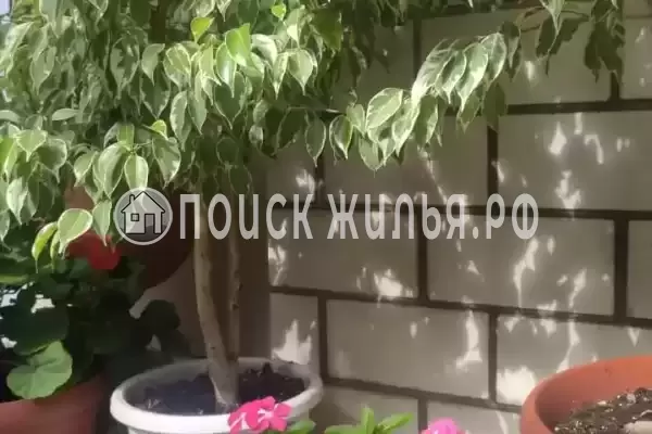 «Elpida», Анапа «Elpida», Анапа