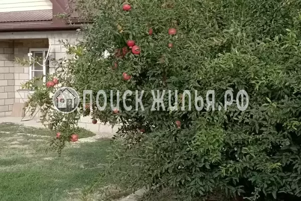 Частный сектор «Частное домовладение Берег», Кучугуры Частный сектор «Частное домовладение Берег», Кучугуры