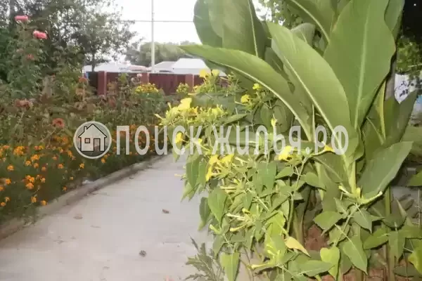 Частный сектор «Частное домовладение Берег», Кучугуры Частный сектор «Частное домовладение Берег», Кучугуры