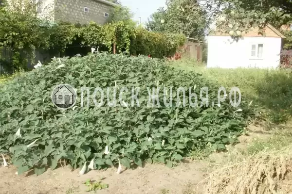 Частный сектор «Частное домовладение Берег», Кучугуры Частный сектор «Частное домовладение Берег», Кучугуры