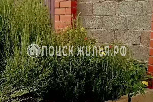 Частный сектор «Частное домовладение Берег», Кучугуры Частный сектор «Частное домовладение Берег», Кучугуры