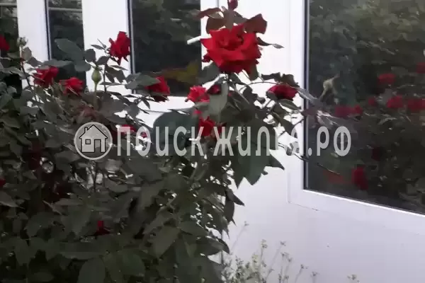 Частный сектор «Частное домовладение Берег», Кучугуры Частный сектор «Частное домовладение Берег», Кучугуры