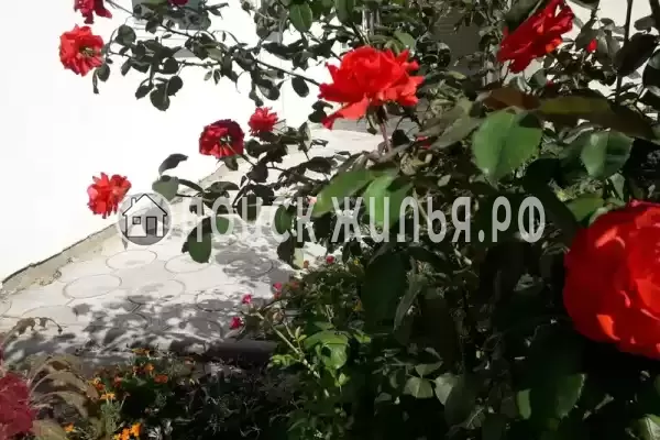 Частный сектор «Частное домовладение Берег», Кучугуры Частный сектор «Частное домовладение Берег», Кучугуры