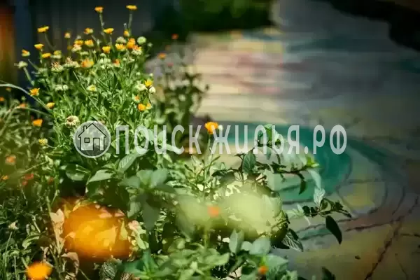 «Черепаха», Кучугуры