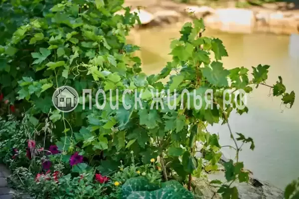 «Черепаха», Кучугуры