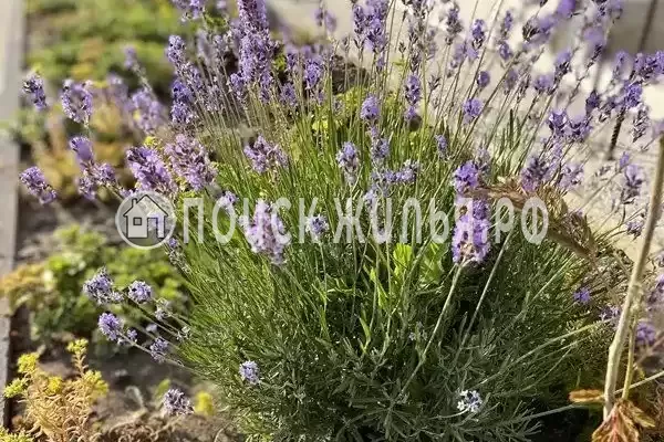 «Вилла Славная», Анапа