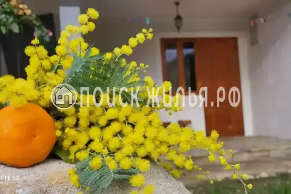 Гостиница «Тихий Берег», Псырцха