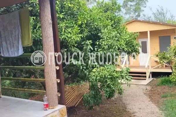 Гостиница «Тихий Берег», Псырцха