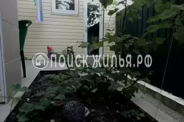 «Парус», Коктебель «Парус», Коктебель