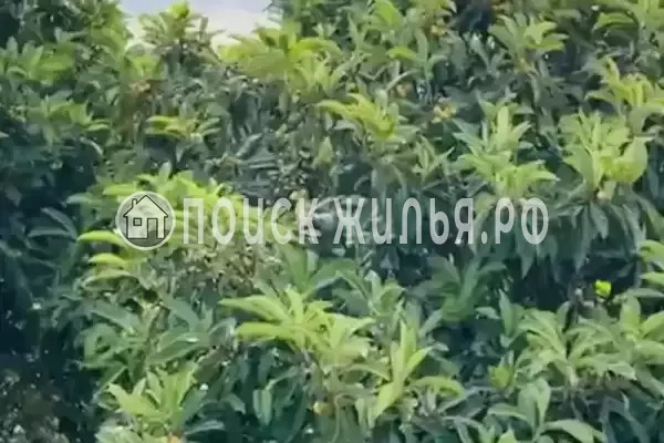 Частный сектор «Дом У Анджелы», Гагра Частный сектор «Дом У Анджелы», Гагра