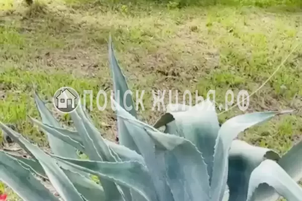 Частный сектор «Дом У Анджелы», Гагра Частный сектор «Дом У Анджелы», Гагра