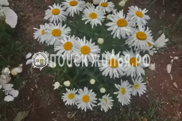 Частный сектор «Домик на Садовой», Новофедоровка