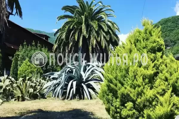 Частный сектор «Гостевые домики Platan House», Гагра