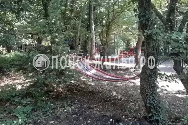 «Paradise», Джубга