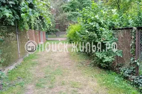 Частный сектор «Дионис», Пицунда