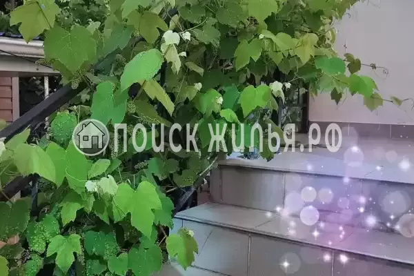 «У Егора», Краснодарский край, Джубга, Калинина, д.3А «У Егора», Краснодарский край, Джубга, Калинина, д.3А