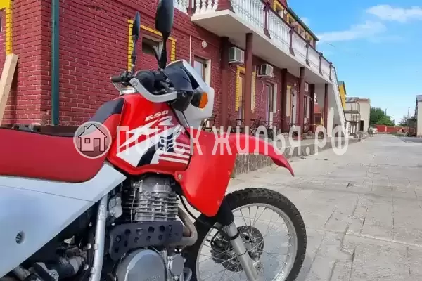 «Июнь», Голубицкая