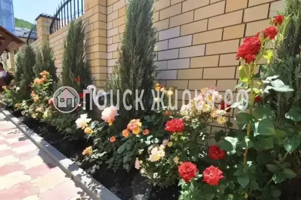 «Натела», Сукко