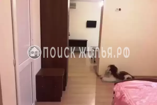 «Межгорье», Лоо