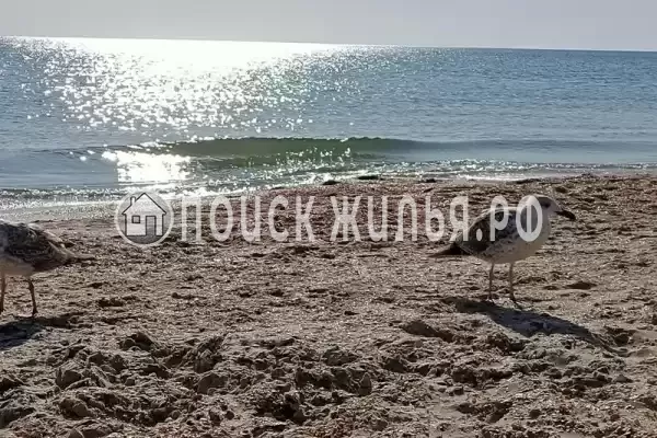 «Brown», Джемете