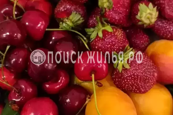 «Отдых на Кати Соловьяновой», Анапа «Отдых на Кати Соловьяновой», Анапа