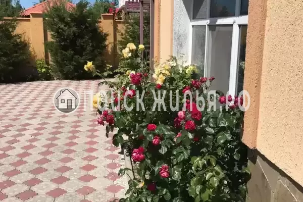 Частный сектор «Частный дом Райский отдых», Оленевка Частный сектор «Частный дом Райский отдых», Оленевка