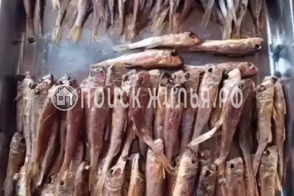 «Mандарин», Лазаревское