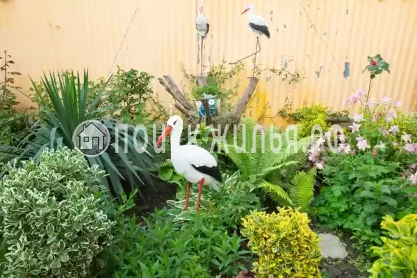 «Чайка», Анапа