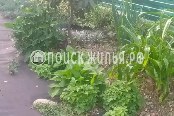 «На Магистральной», Чемитоквадже