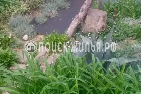 «На Магистральной», Чемитоквадже