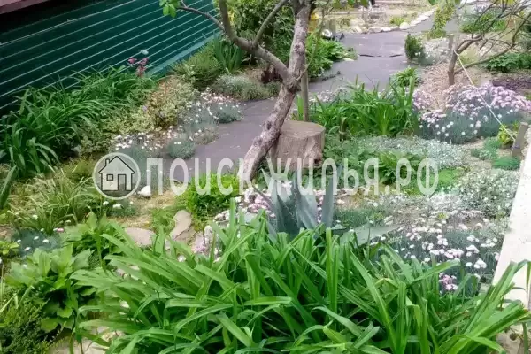 «На Магистральной», Чемитоквадже