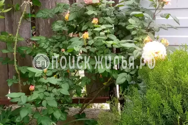 «На Магистральной», Чемитоквадже